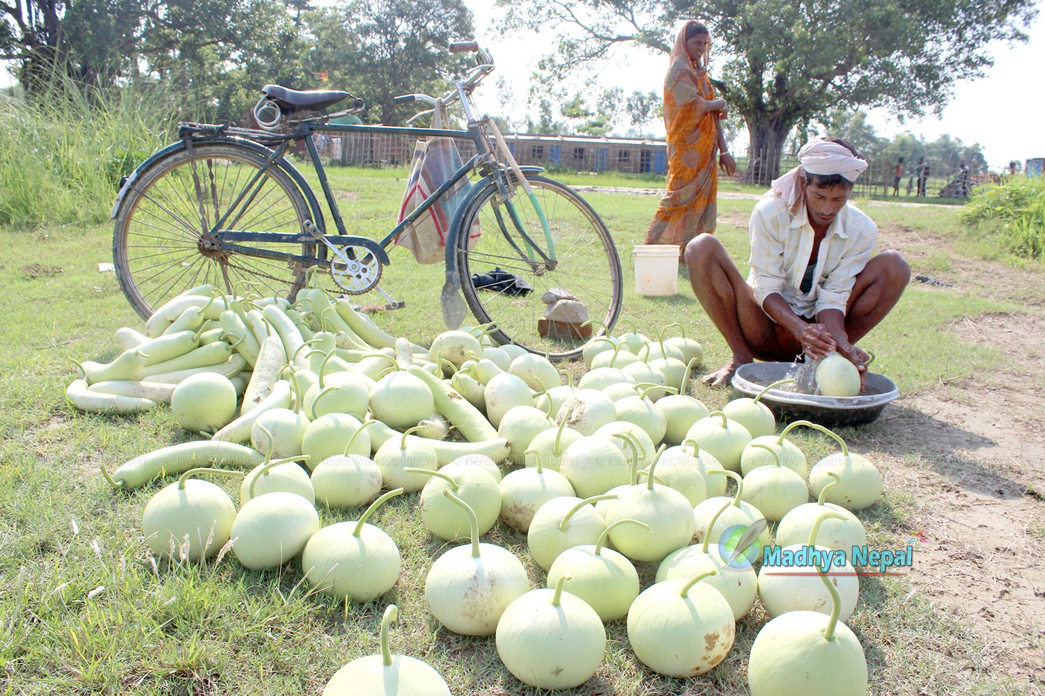 पर्साका किसान प्रम कृषि परियोजनामा आकर्षित , वेमौसमी तरकारी खेतीबाट पनि मनग्ये आम्दानी गर्दै