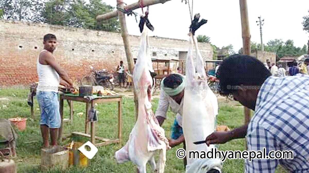 अस्वस्थकर माछामासु खान ग्रामिण उपभोक्ता बाध्य