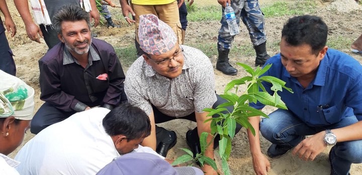 राष्ट्रिय वृक्षारोपण दिवसमा वृक्षारोपण