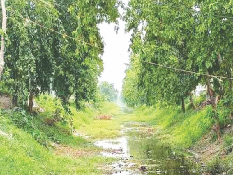 सुख्खा मौसमको चपेटामा मध्यतराई, समयमा कहिले आएन गण्डक नहरमा पानी 