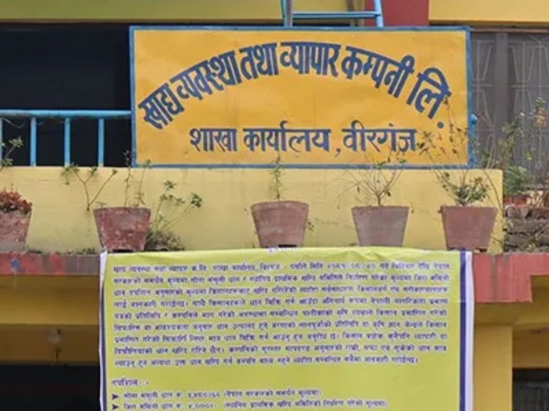 धान खरिदमा किसानको न्यून सहभागिता